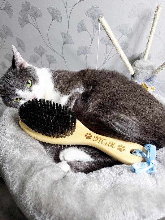 Personalised Double Sided Pet Grooming Brush